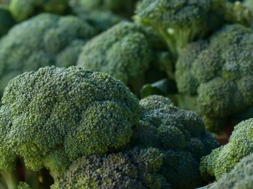 Brócoli