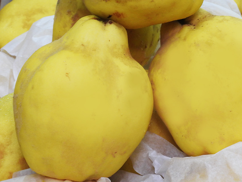 Membrillo