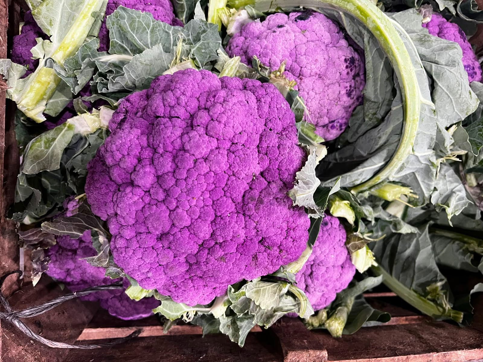 Coliflor violeta