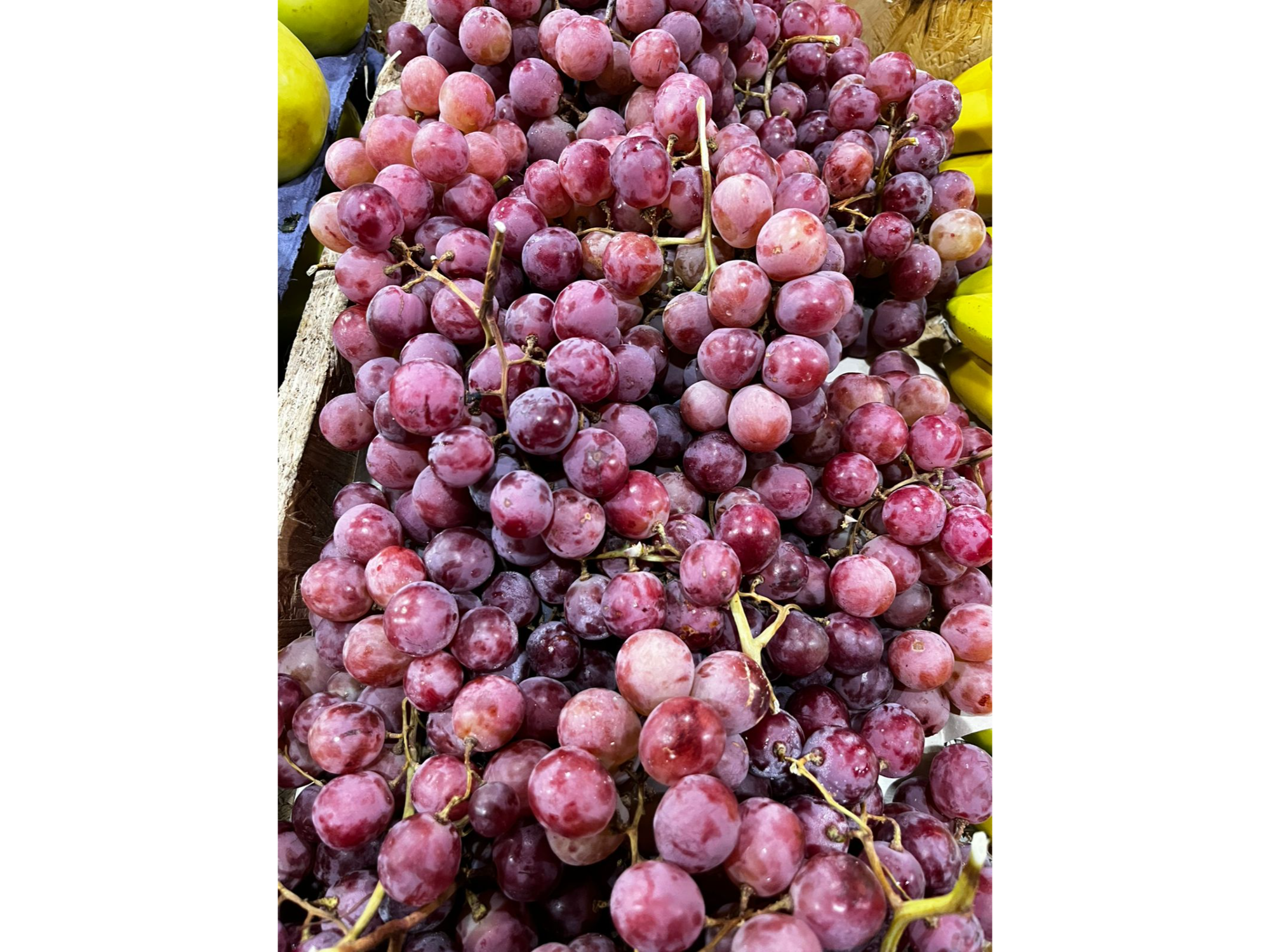 Uva rosada con semilla