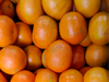 Mandarina Havanna