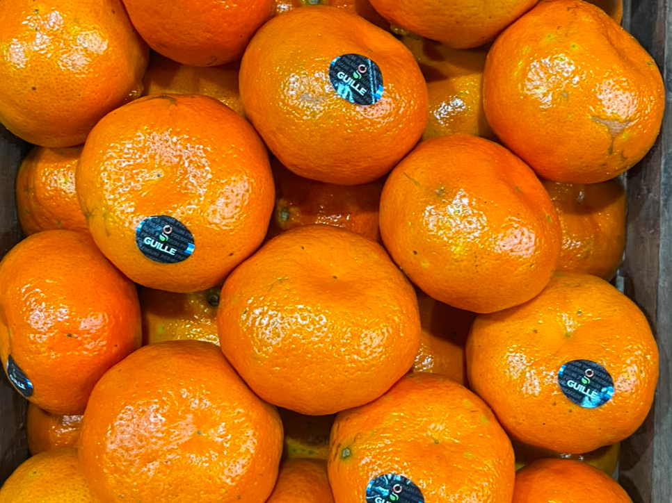 Mandarina dancy