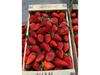 Frutilla bandeja x 5kg