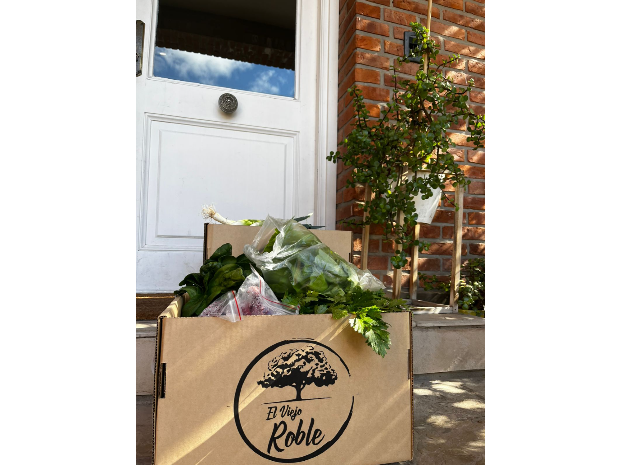 Combo infaltable 5/1 al  9/1