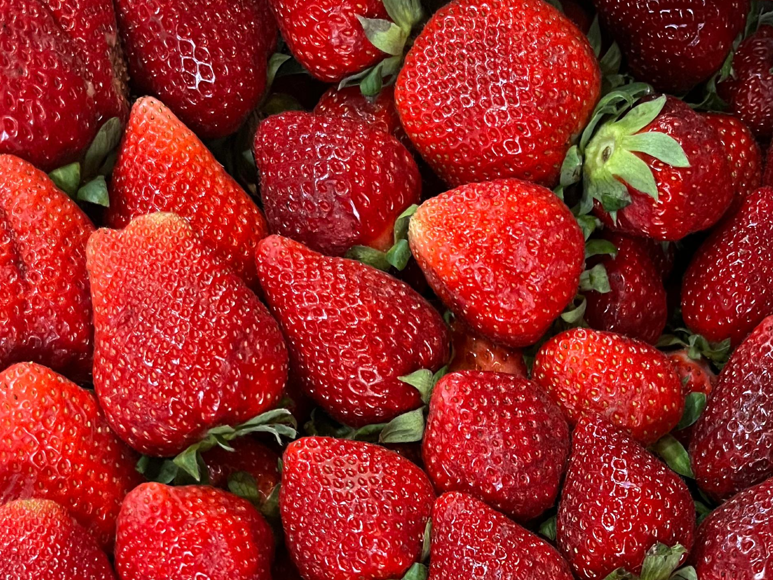 Frutilla