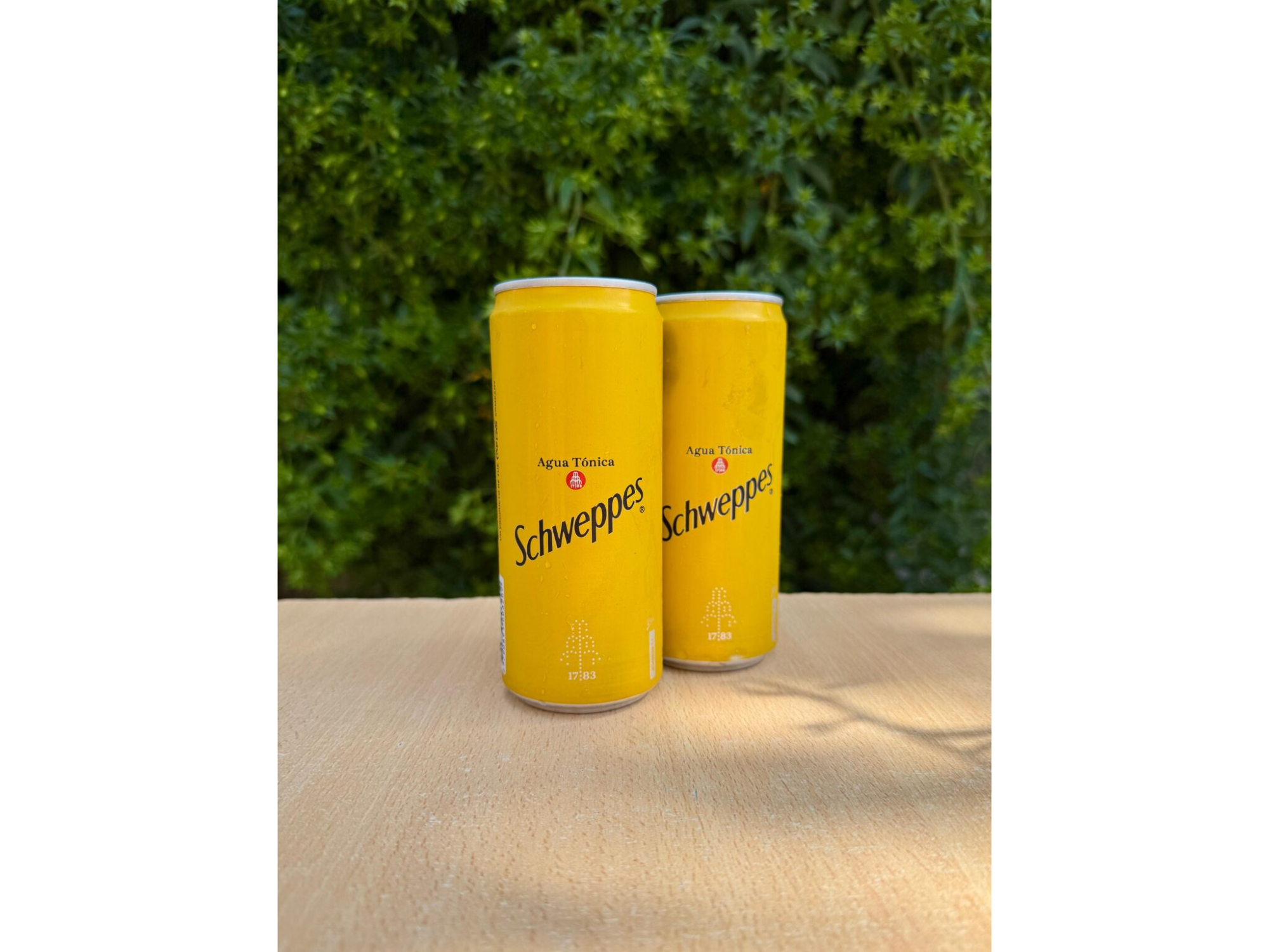 Agua Tonica Schweppes Lata 310cc