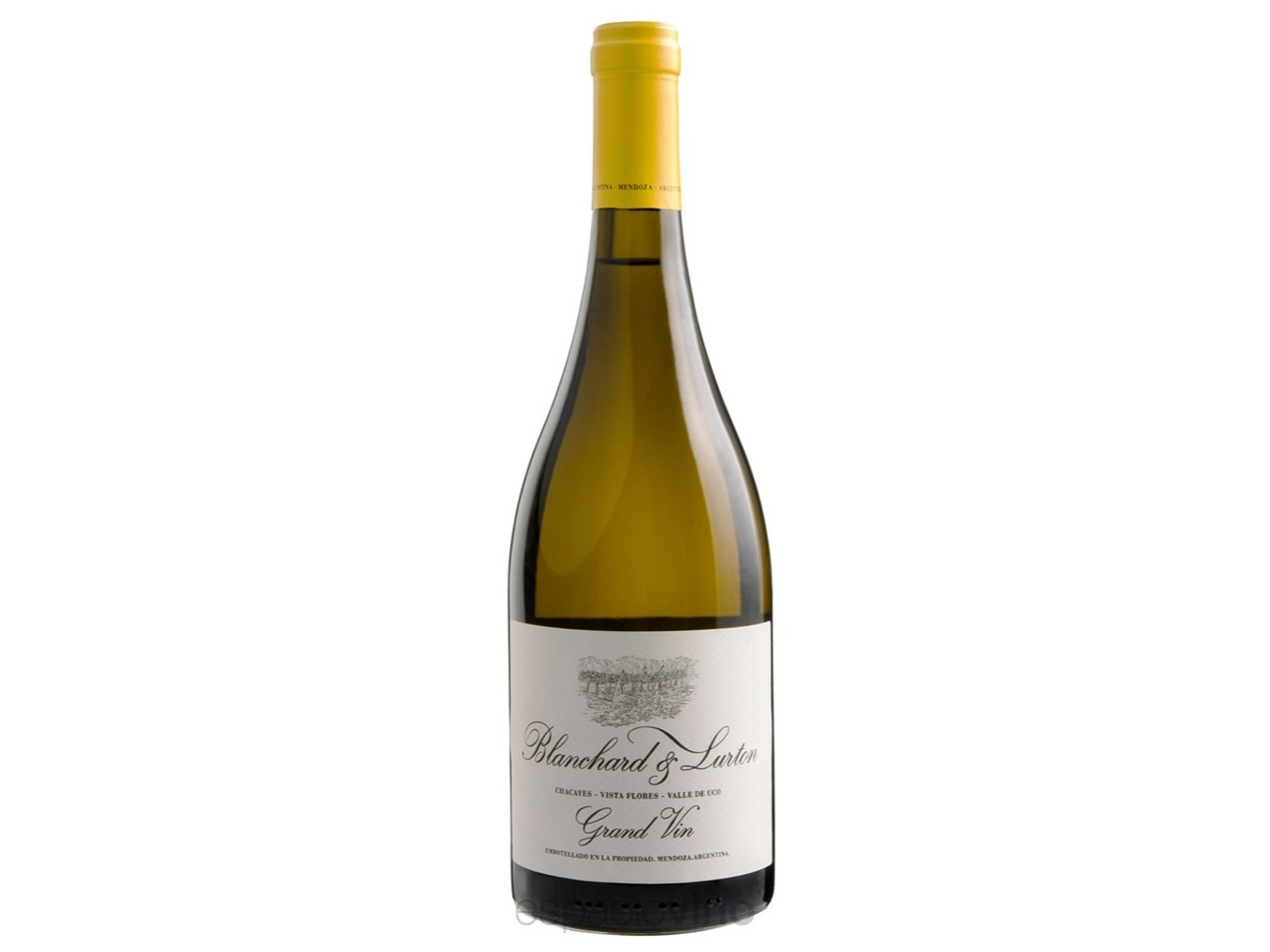 Blanchard & Lurton Grand Vin Blanc 750