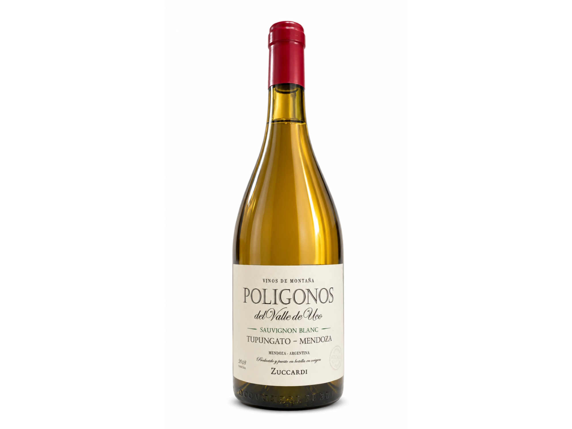 Zuccardi Poligonos Dauvignon Blanc