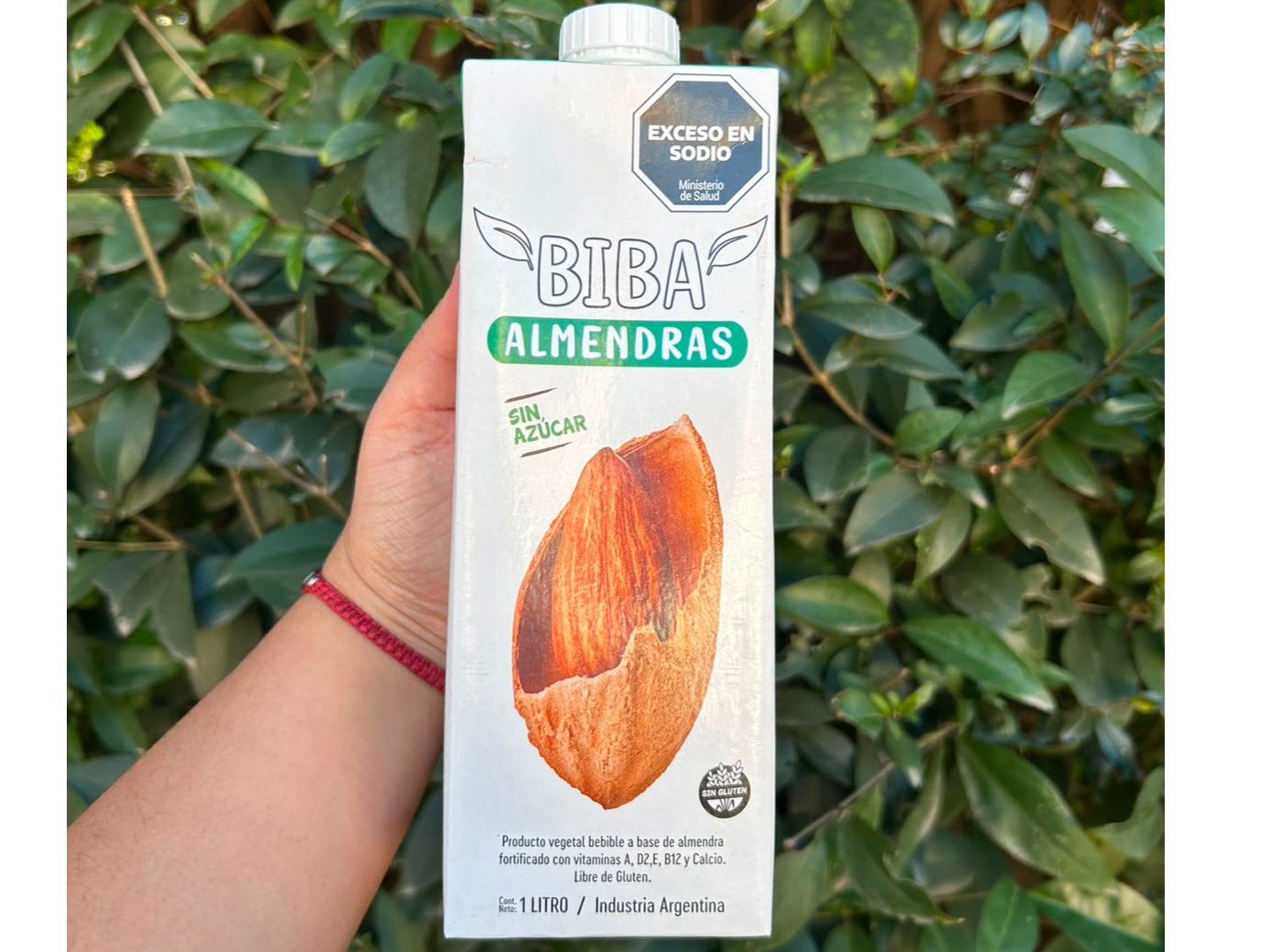 Leche de Almendras Biba x 1 Litro