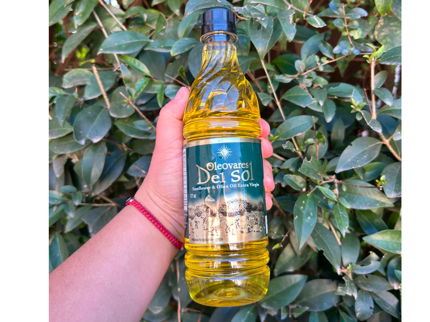 Aceite de Oliva y Soja Olivares del Sol
