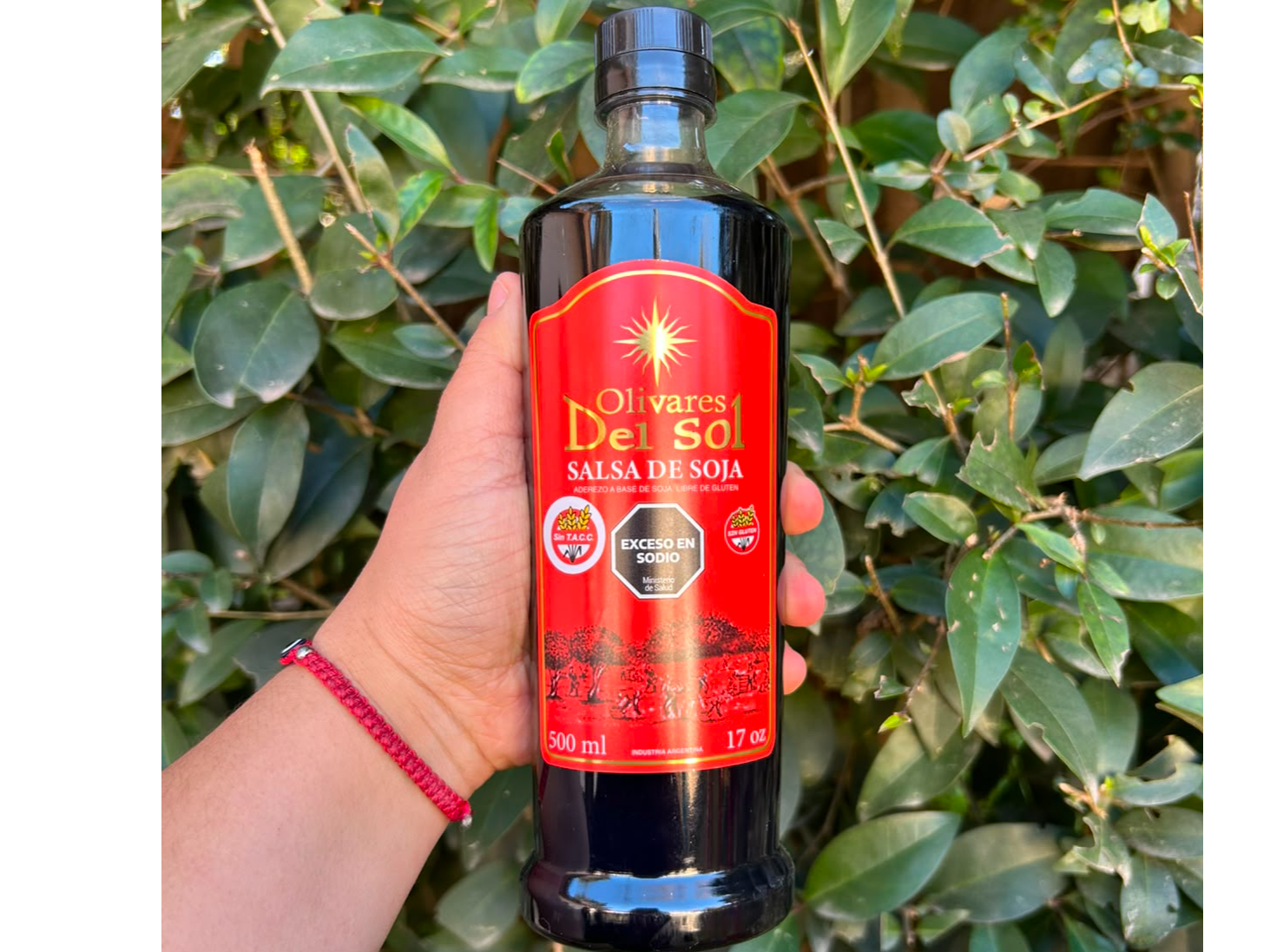 Salsa de soja x 500ml Olivares del Sol