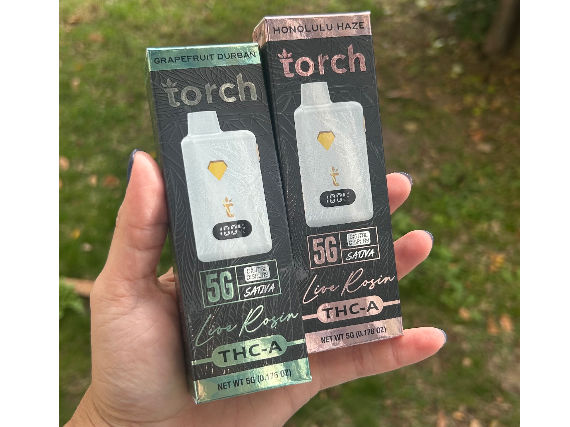 TORCH