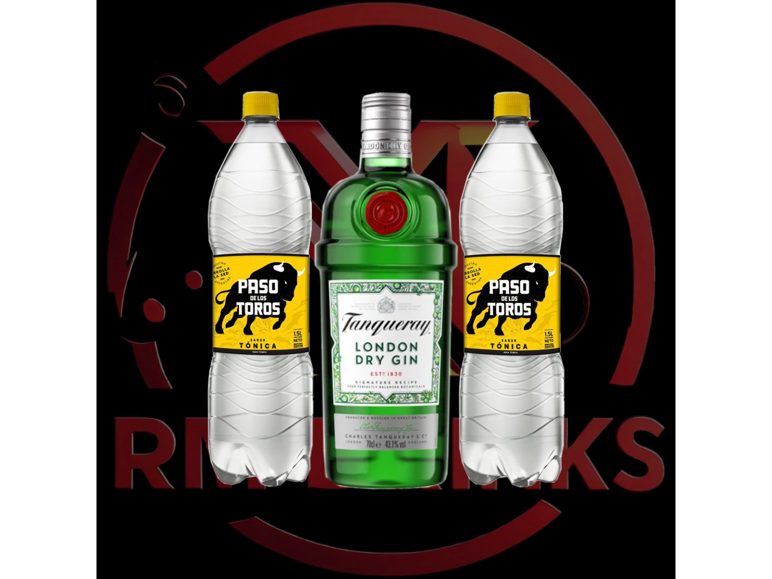 Tanqueray Dry + 2 Paso de los Toros 1.5l