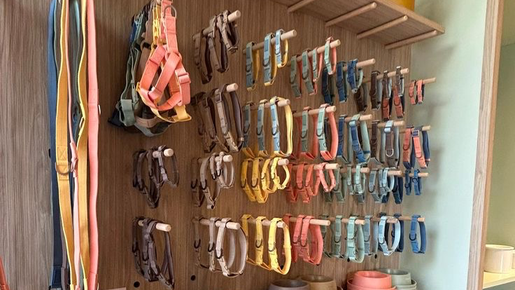 Correas, Collares y Pecheras