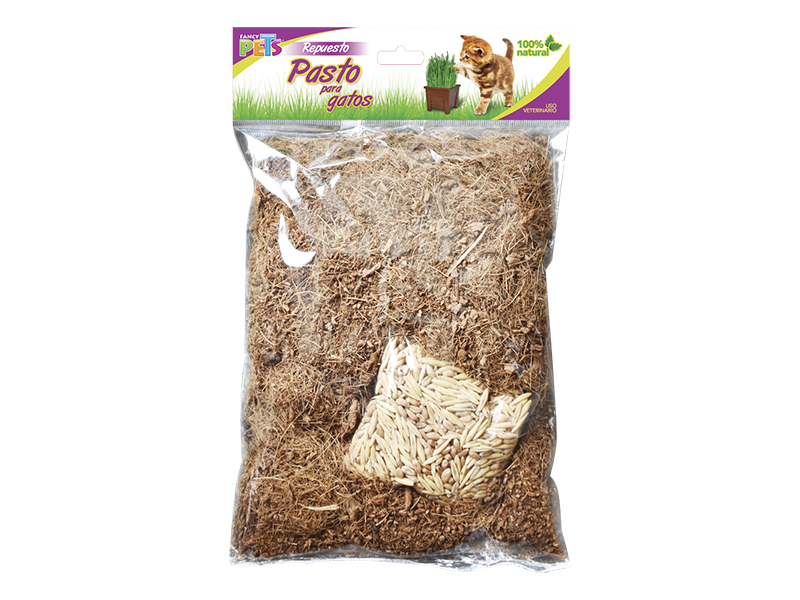 Pasto para Gatos