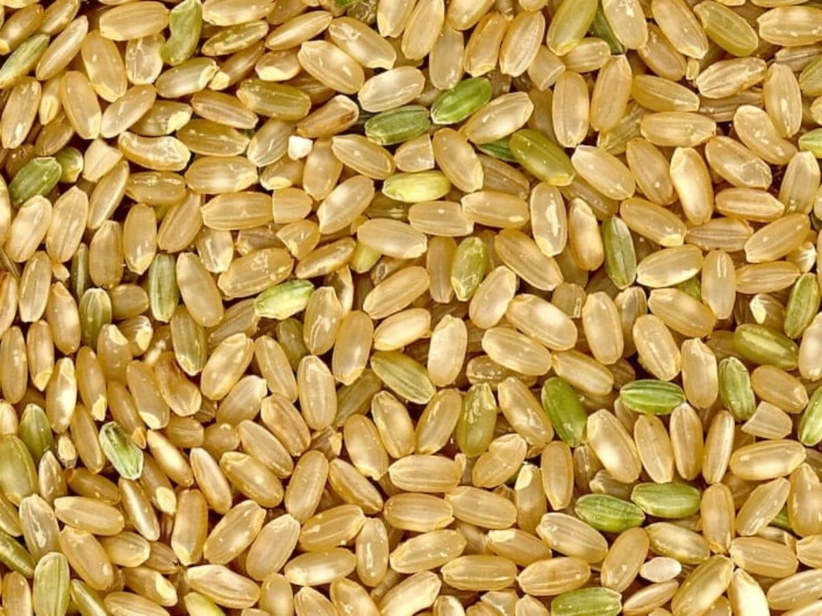 Arroz Yamaní