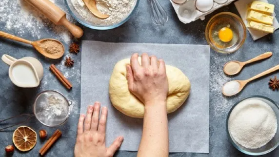 ALIMENTOS CASEROS