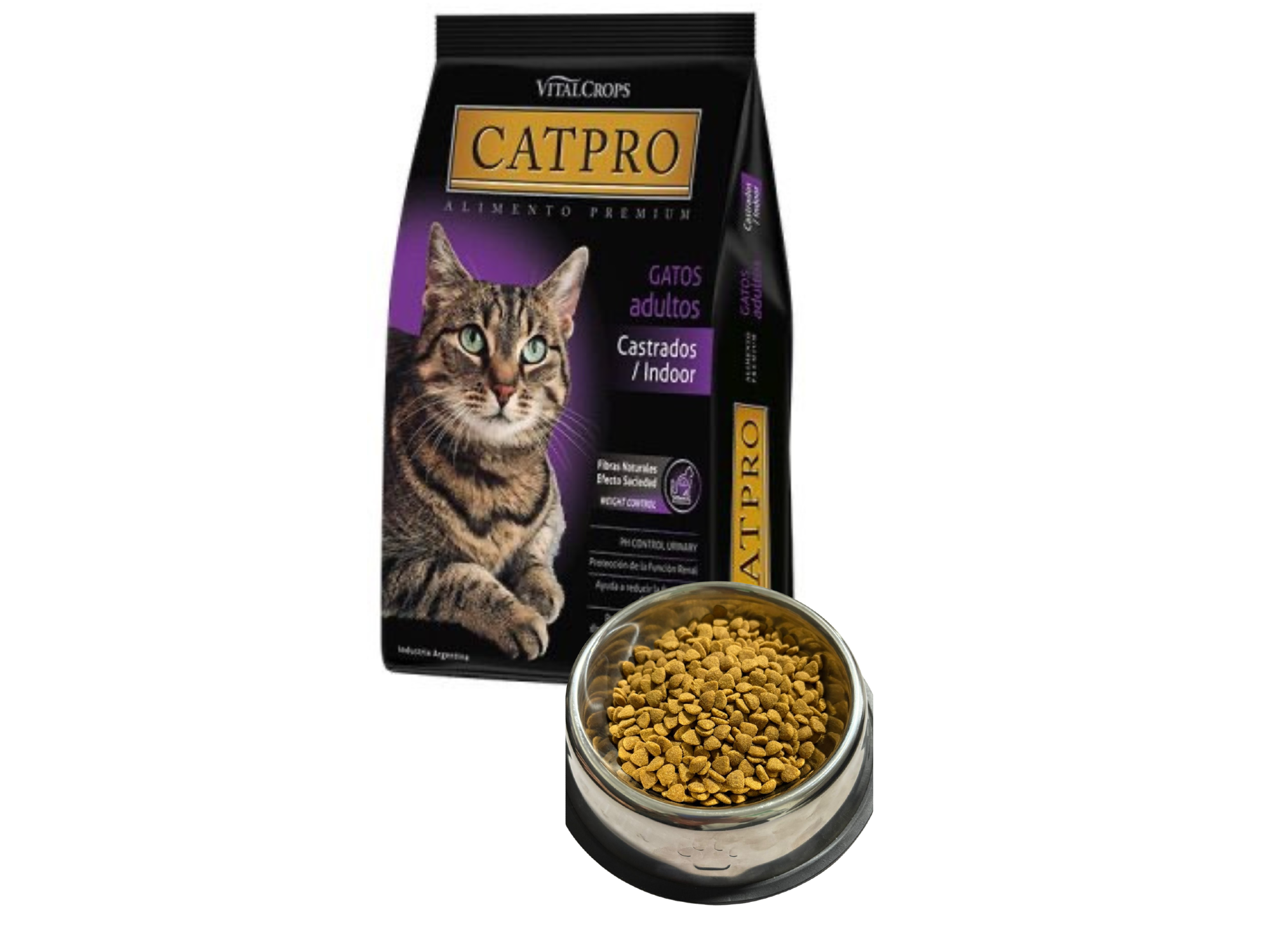 Cat Pro Castrado