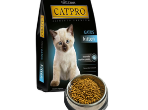 Cat Pro Kitten de Fuente Animal