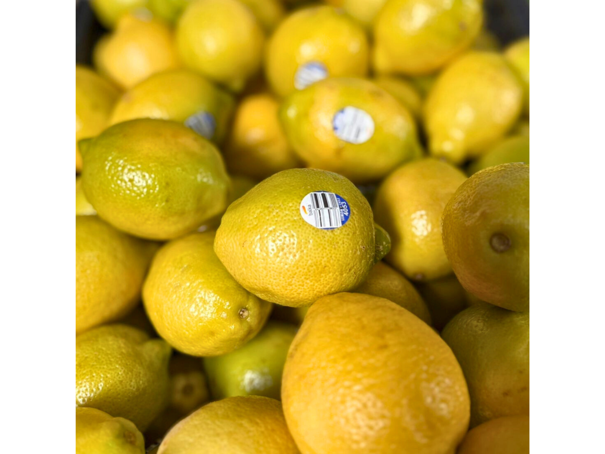 Limón