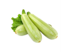 Zapallito Zucchini