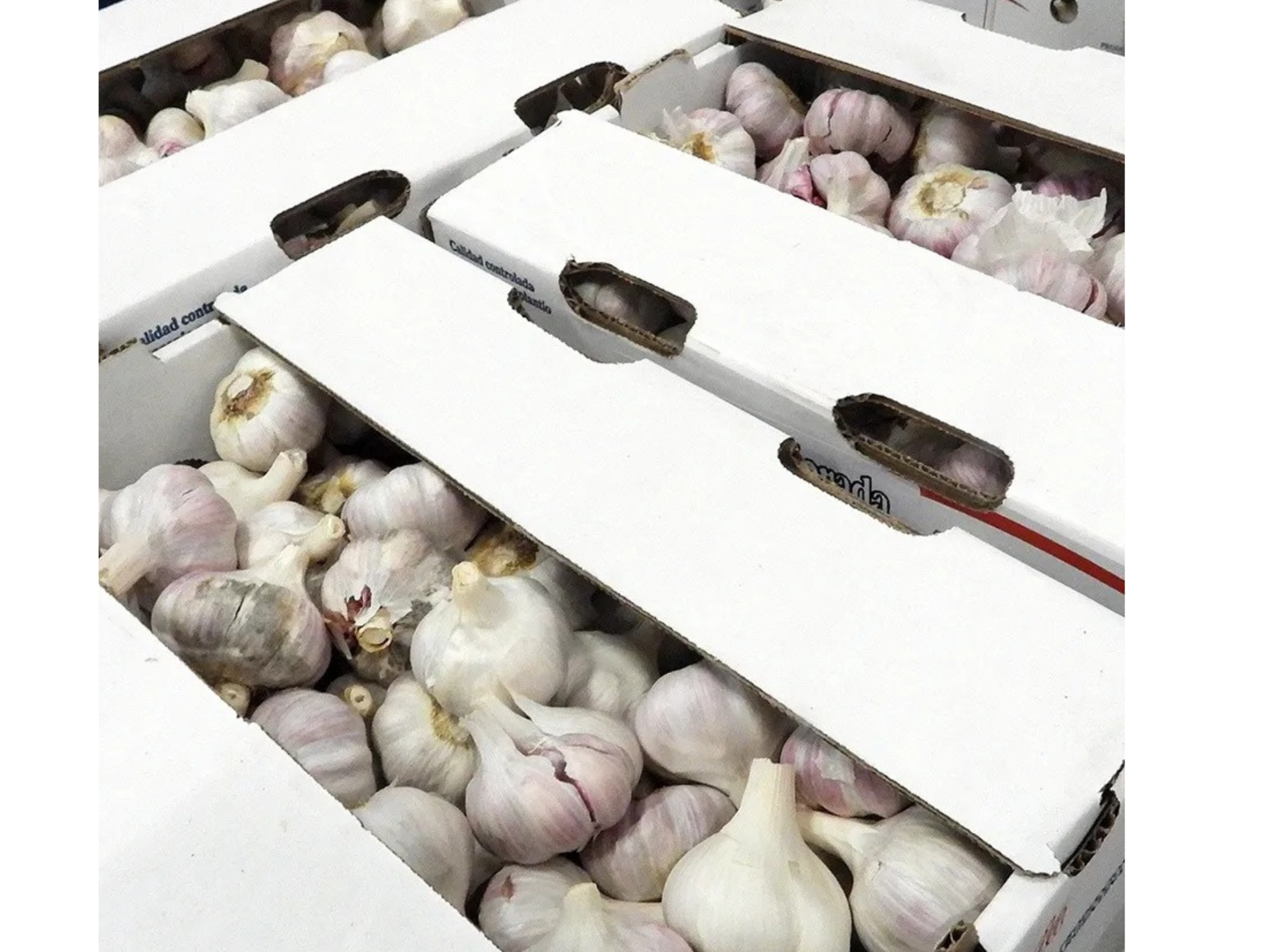 Caja de ajo
