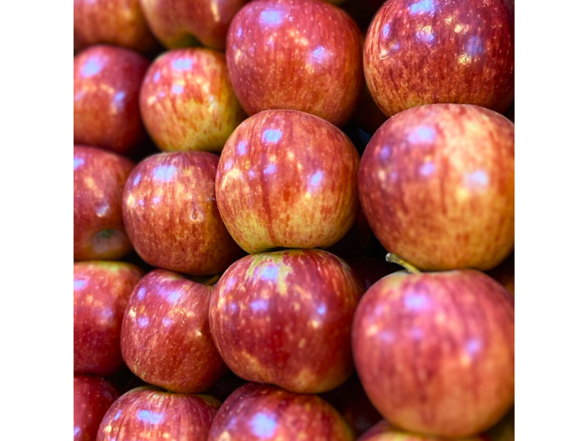 Manzana Roja