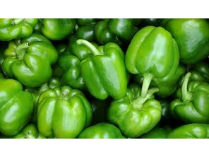 Morron Verde