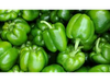 Morron Verde