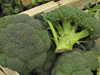 Cajón de Brocoli