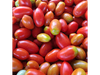 Tomate Cherry