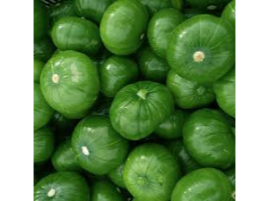 Zapallito Verde
