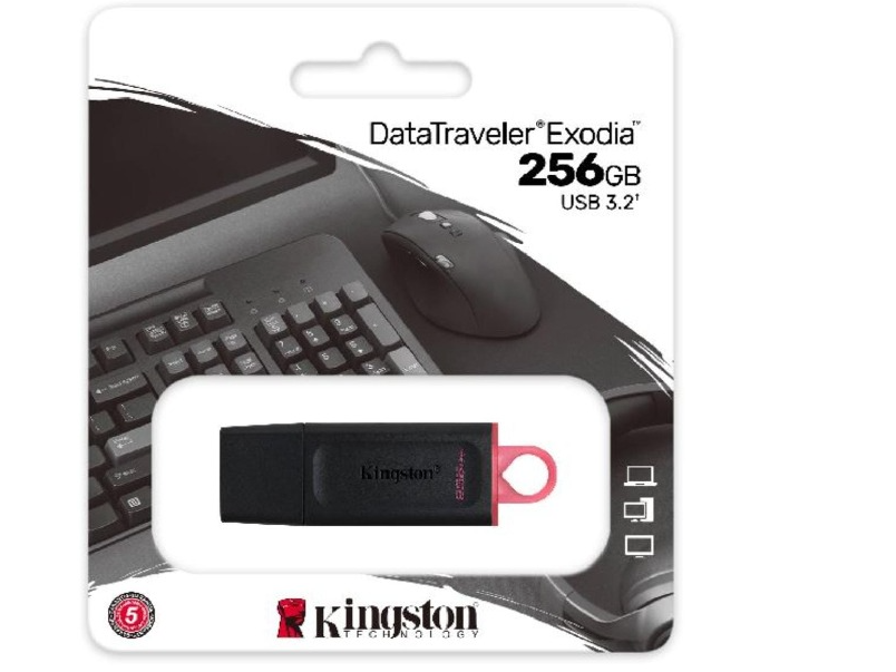 PENDRIVE KINGSTON 256GB