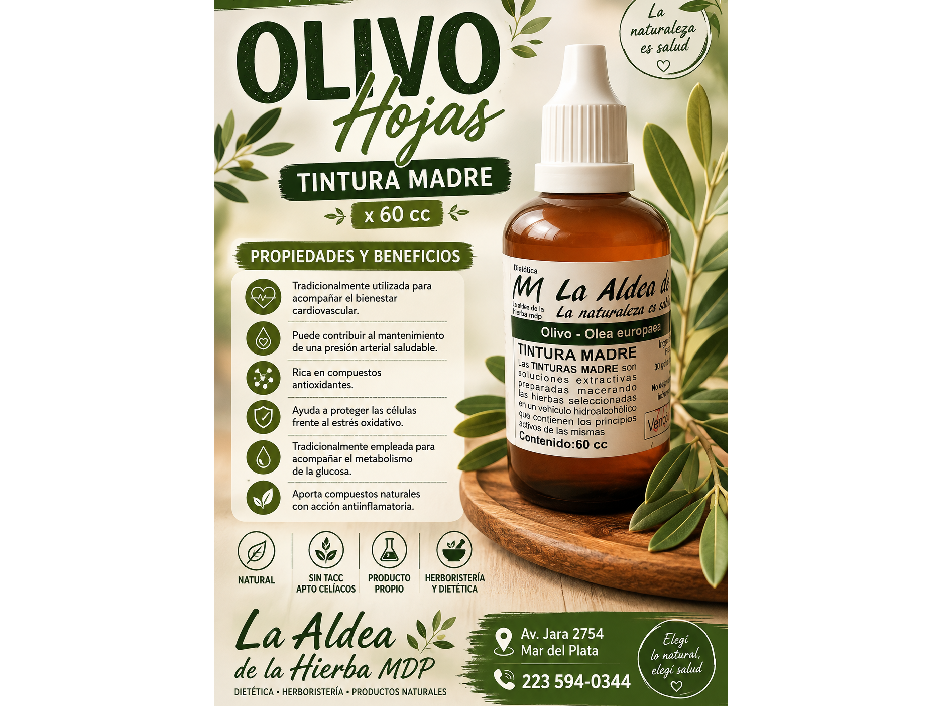 OLIVO – HOJAS