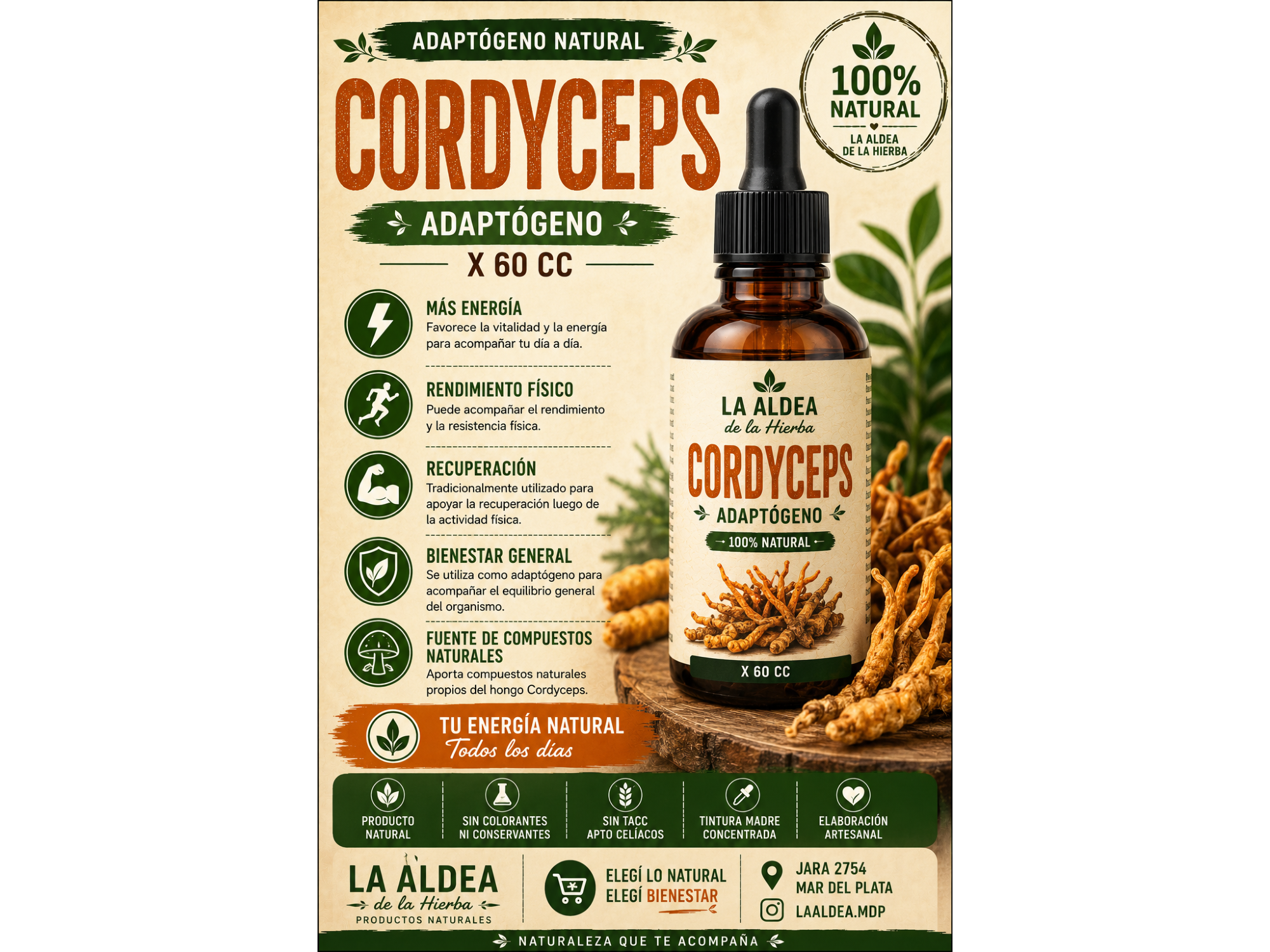 Cordyceps — Adaptógeno x 60 cc