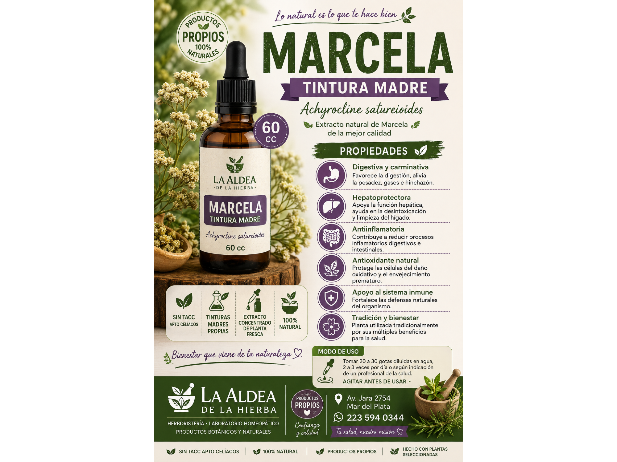 Marcela tintura madre