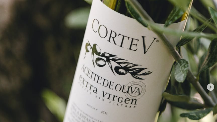 CORTE V