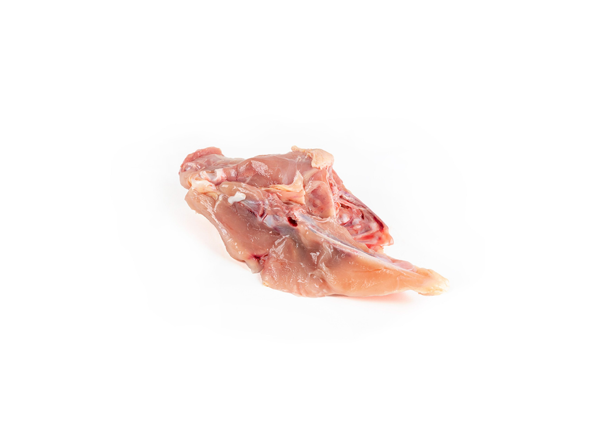 CARCASA 1KG