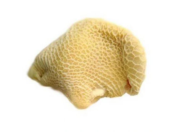 MONDONGO 1KG