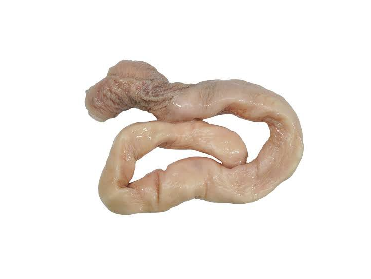 TRIPA GORDA POR UNIDAD
