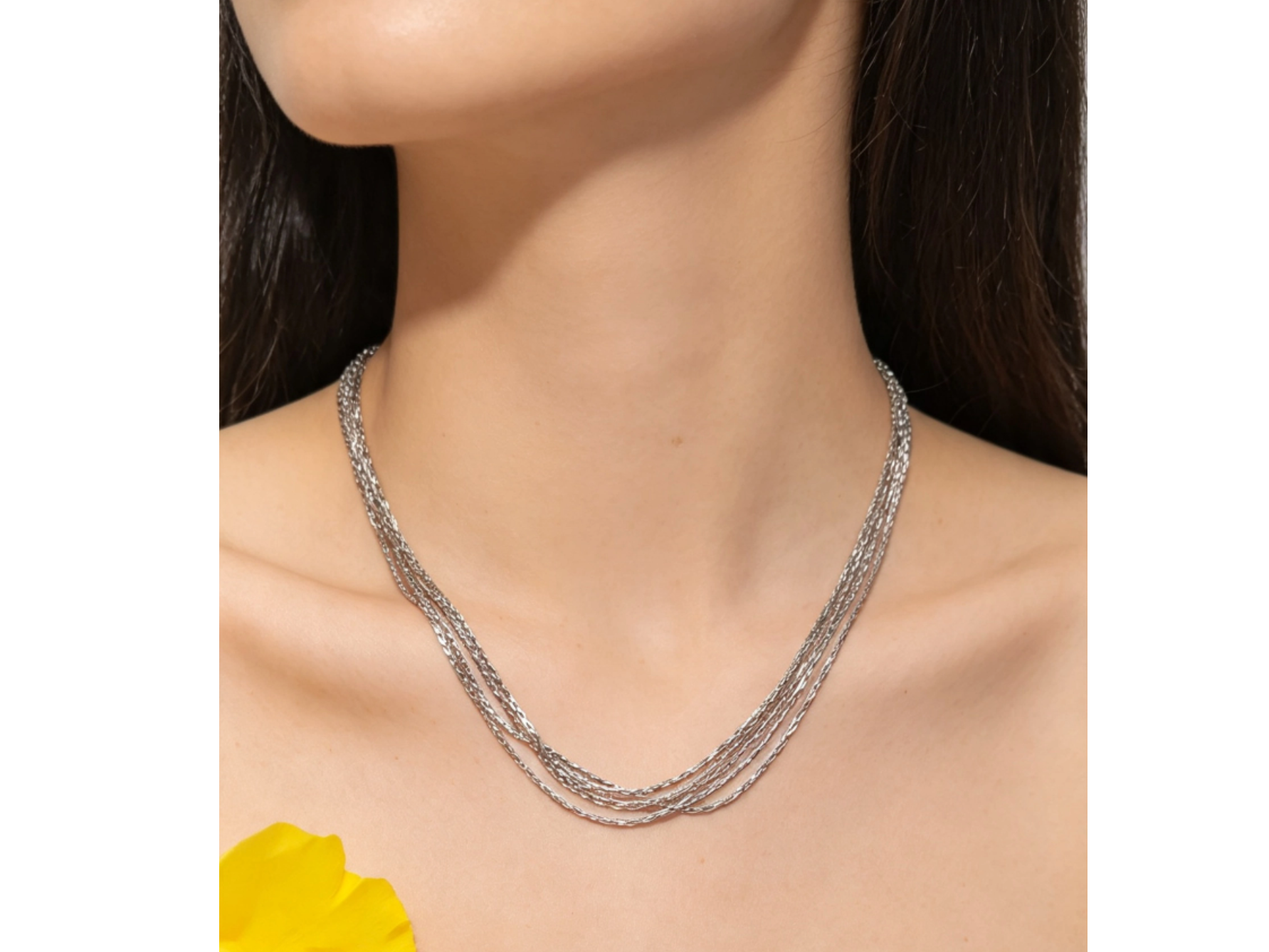 Collar Always