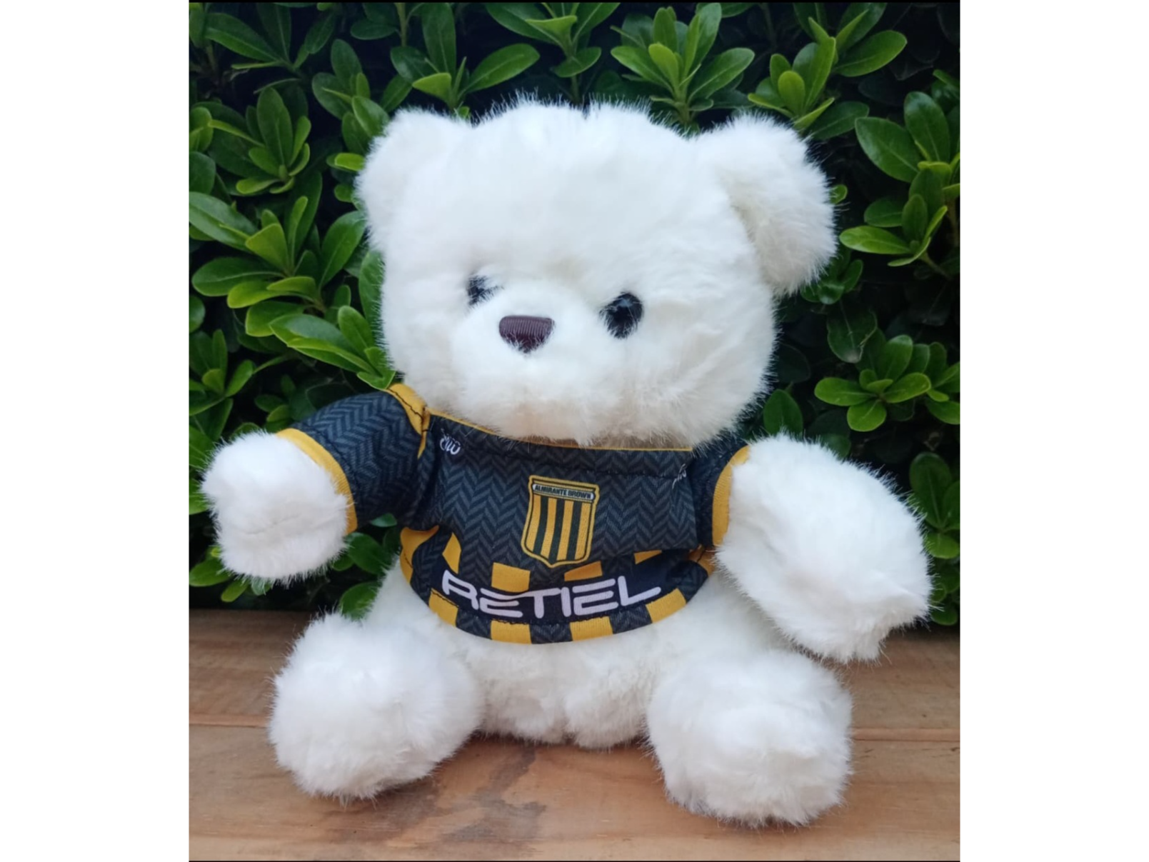 OSO DE PELUCHE
