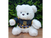 OSO DE PELUCHE