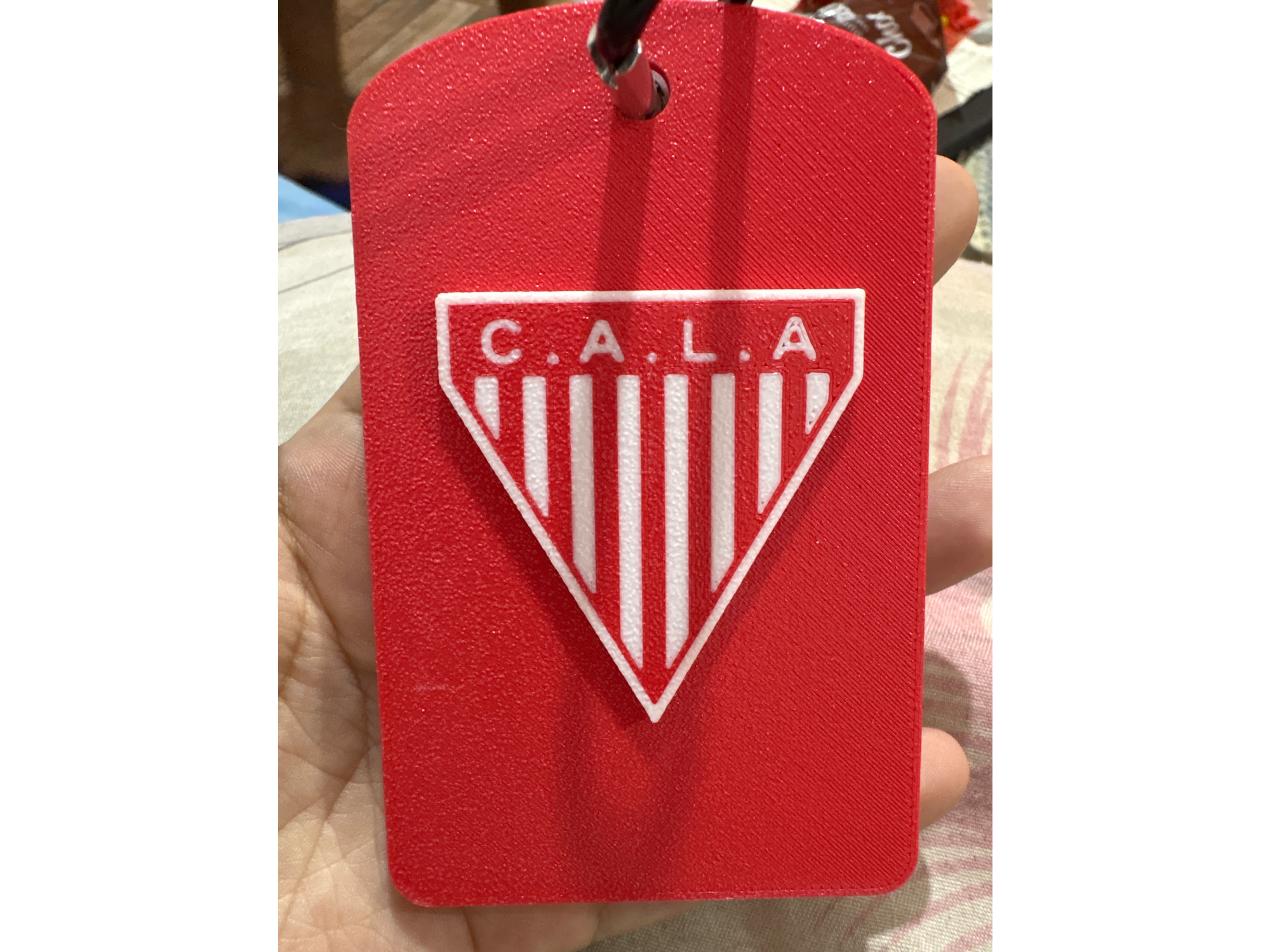 Porta sube 3D Los Andes