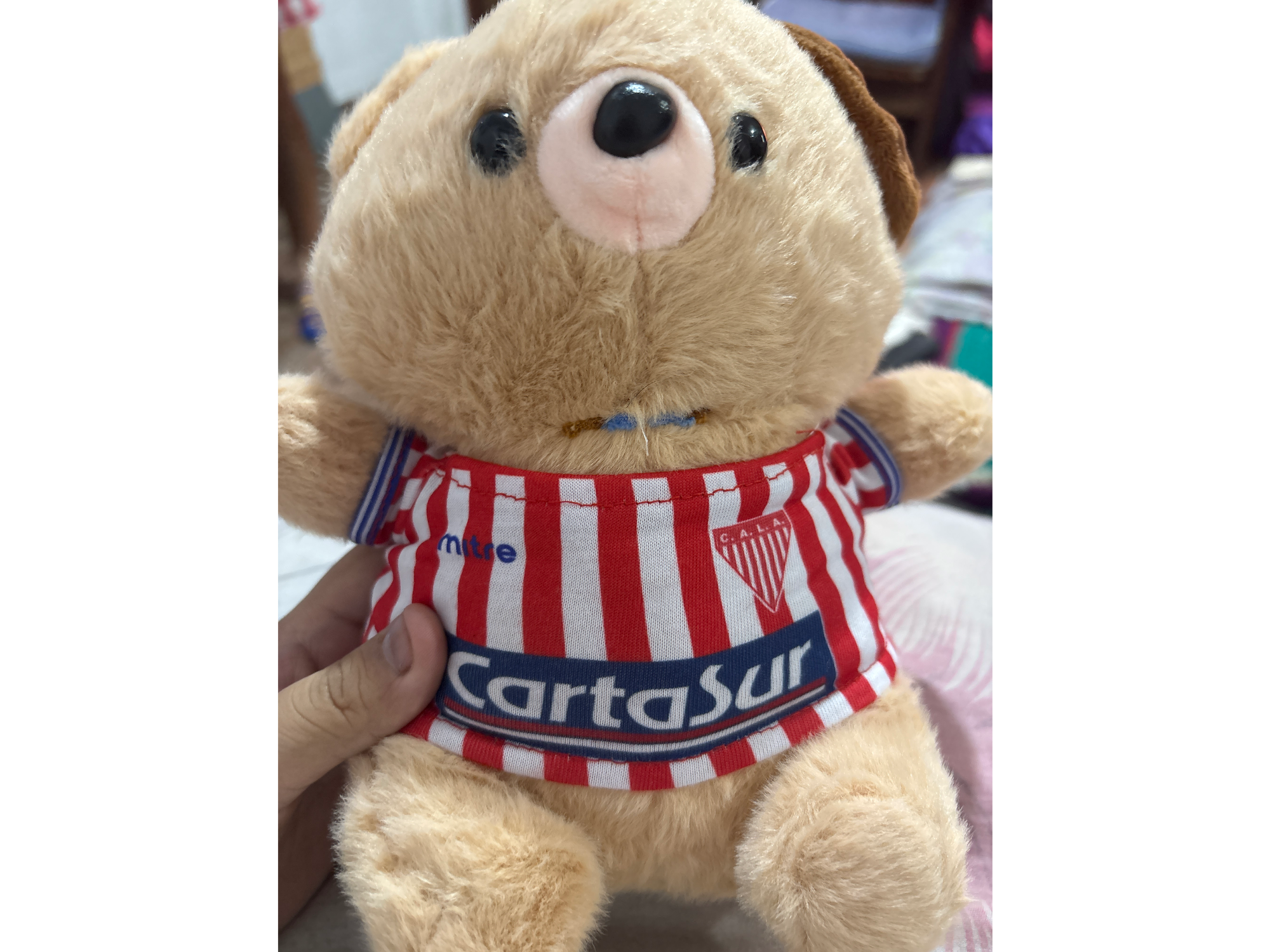 Oso de peluche Los andes