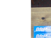 Dentífrico Oddol 75g