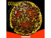 Tarta de Ternera