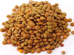 Lenteja común x 1 kg