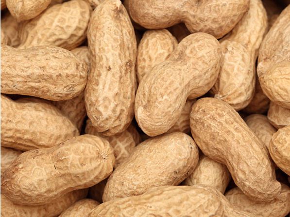 Maní con cáscara premium x 1 kg