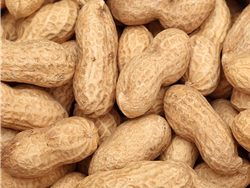 Maní con cáscara premium x 1 kg